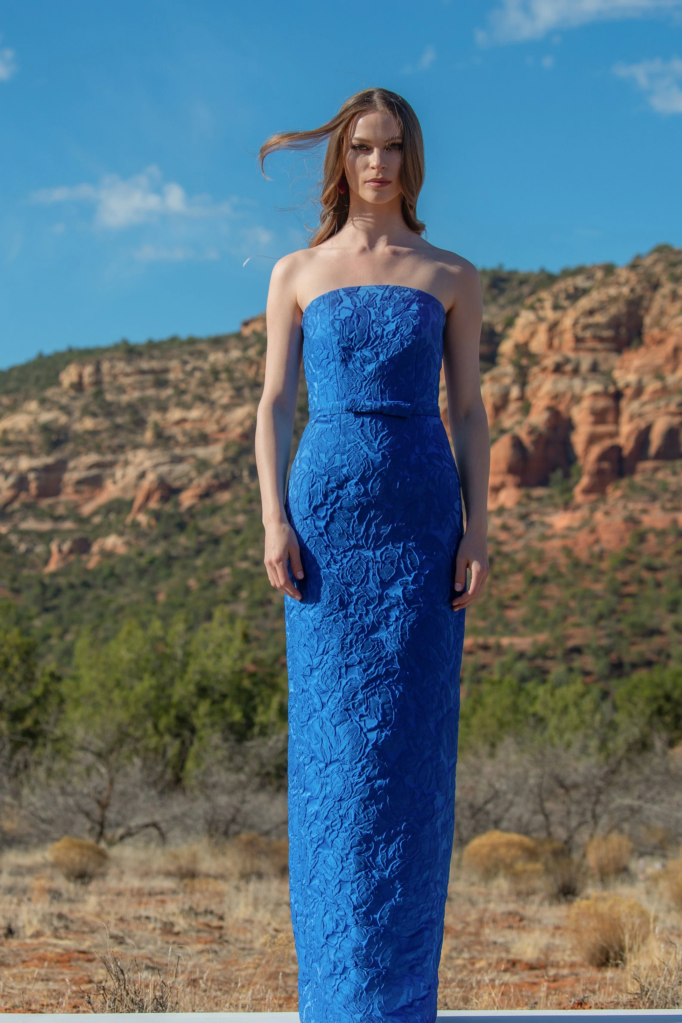 SOPHIA GOWN - MOONBEAM - Image 3